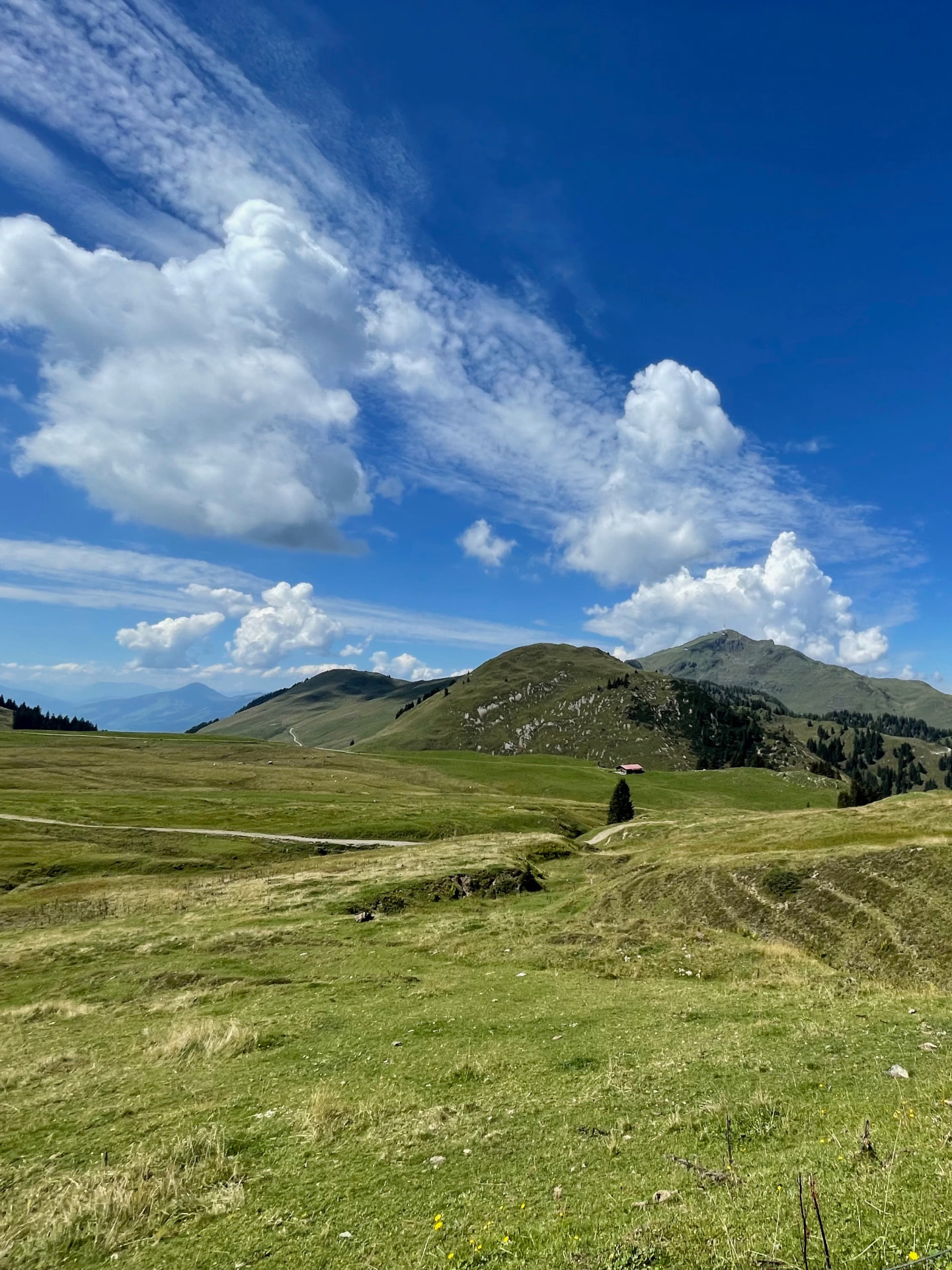 Kitzbüheler Horn, Tiroler Bergpanorama