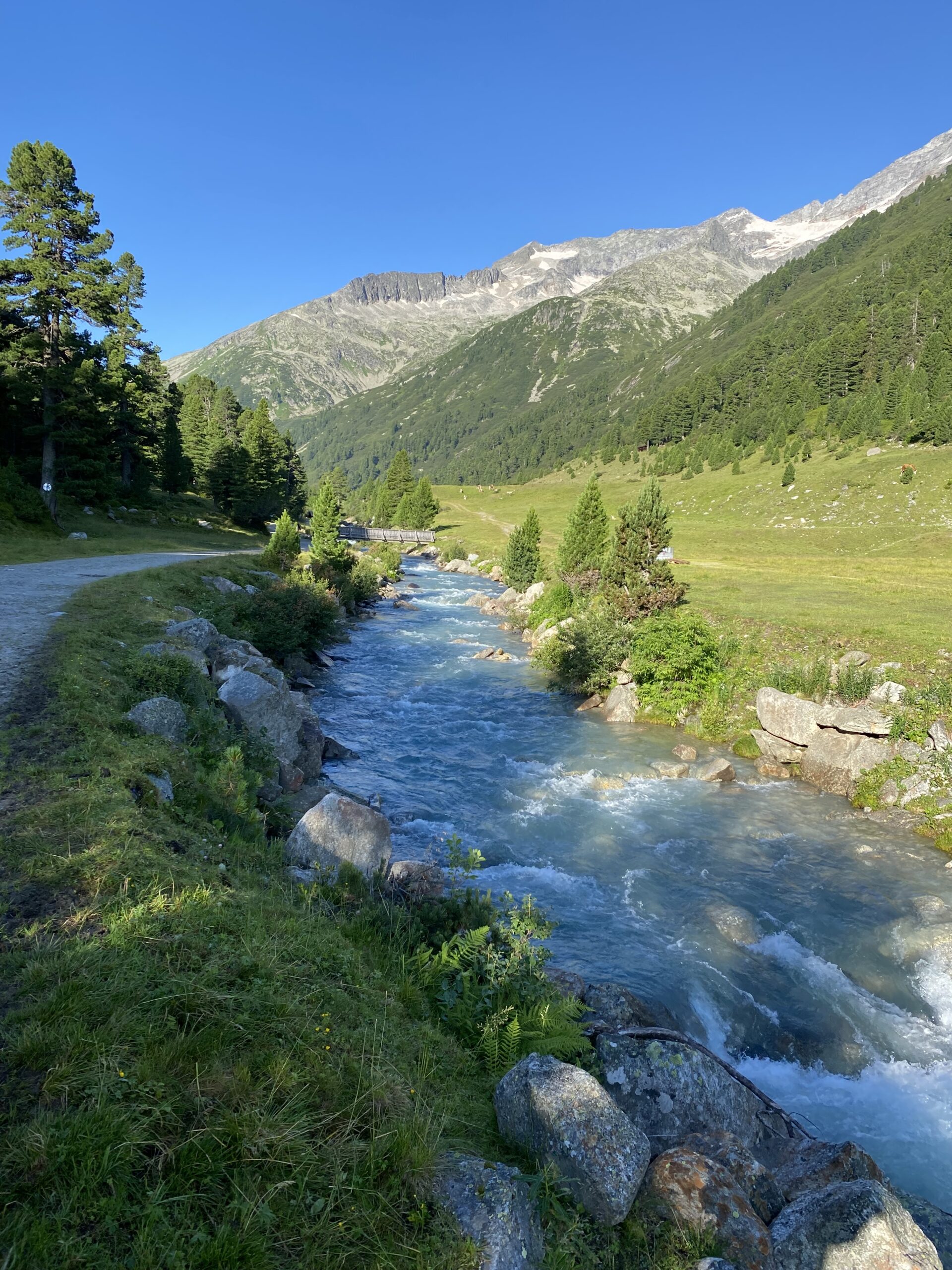 IMG_7386